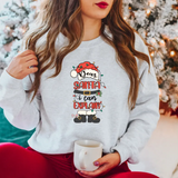 Dear Santa I Can Explain  DTF Print