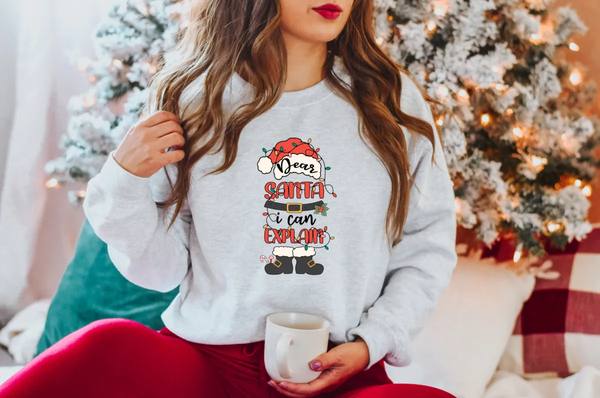 Dear Santa I Can Explain  DTF Print