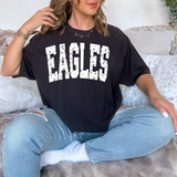 Eagles Varsity Distressed Teams DTF Print