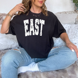 East Varsity Distressed Teams DTF Print