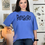 Funky Serif Panthers DTF Print