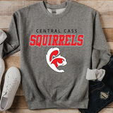 Central Cass Squirrels Italic Team DTF Print