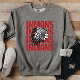 Wauseon Indians Soft Repeat DTF Print