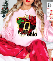 Ho Ho Home Is In Ohio DTF Print