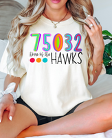 75032 Home of the Hawks DTF Print