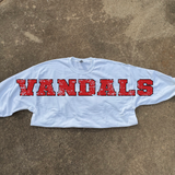 Vandals Grunge Team Banner DTF Print