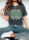 Distressed Indians Checker DTF Print