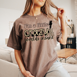 I'm a little crazy DTF Print