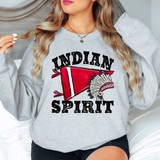 Indian Spirit Pennant DTF Print