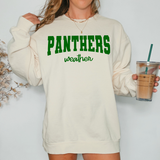 Panthers Team Weather DTF Print