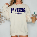Panthers Team Weather DTF Print