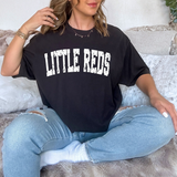 Little Reds Varsity Distressed Teams DTF Print