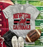 Hometown Classic Newton Cardinals 01 DTF Print