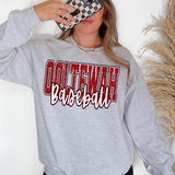 Ooltewah Baseball Glitter School Spirit DTF Print
