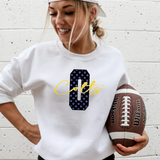 Faux Glitter Polka Dot O Colts DTF Print