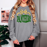Panthers Wide Ribbon DTF Print