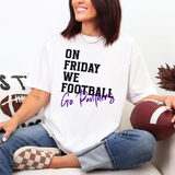 Panthers On Friday We Football DTF Print