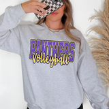 Panthers Volleyball Glitter School Spirit DTF Print