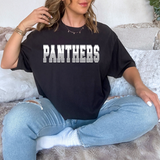 Panthers Varsity Line Team DTF Print
