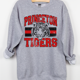 Classic Hometown Princeton Tigers DTF Print