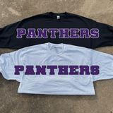 Panthers Team Banner DTF Print
