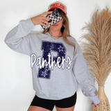 Panthers Stripes Varsity Team DTF Print
