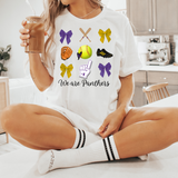 We are Panthers Softball Coquette Collage DTF Print