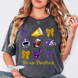 We Are Panthers Football Coquette Collage DTF Print