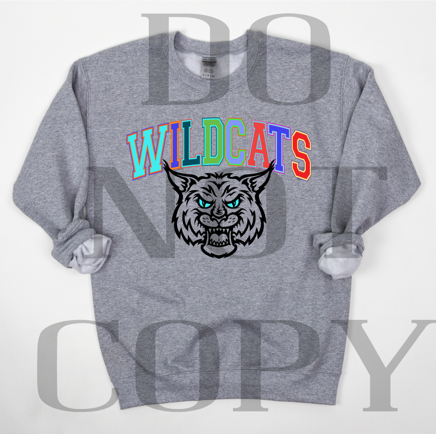 Rainbow Wildcats DTF Print – Torch Light