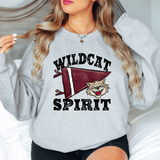 Wildcat Spirit Pennant DTF Print