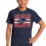 Arkansas Bandits Grunge DTF Print