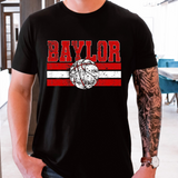 Baylor Basketball Grunge DTF Print