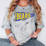 Redskins Watercolor Pennant DTF Print