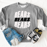 Bears Triple Threat DTF Print