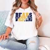 Bears Wrestling Color Split DTF Print
