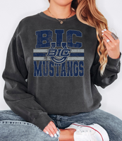 Classic Hometown BIC Mustangs DTF Print