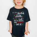 Grandma's Fault Christmas DTF Print