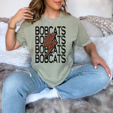 Bobcats Baseball Bolt DTF Print