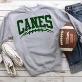 Canes Football Arched DTF Print