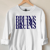 Bruins Casino DTF Print