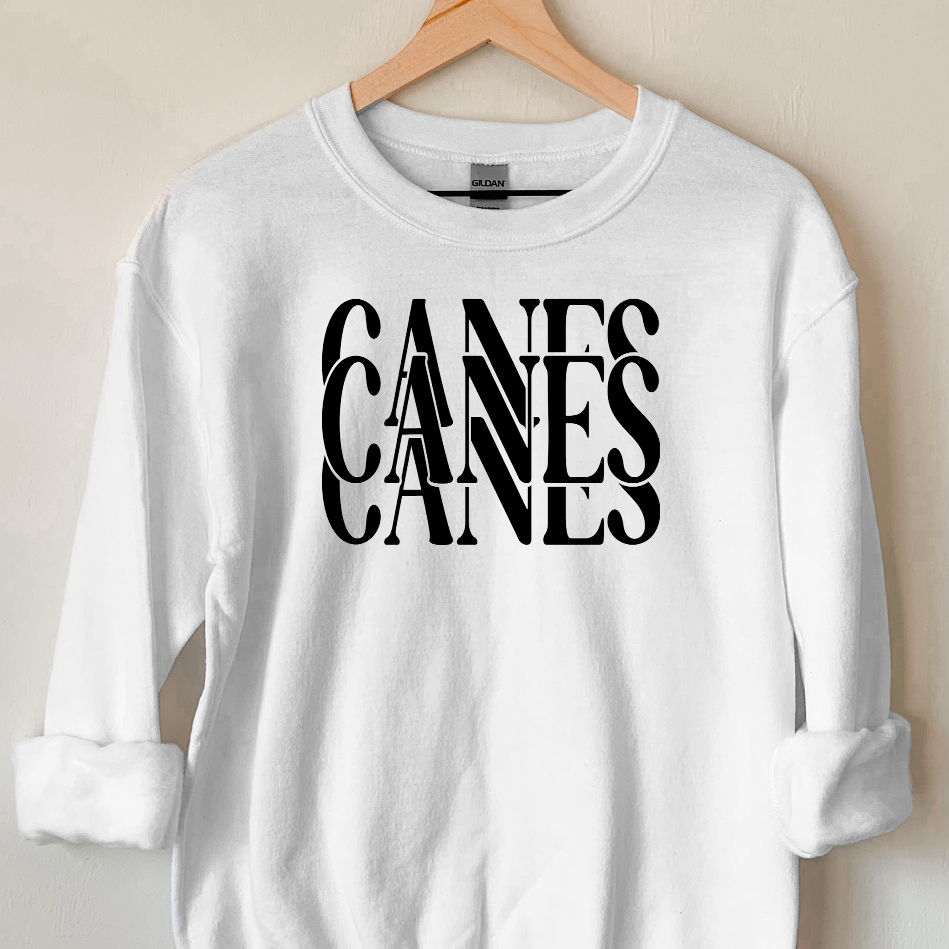 Canes Casino DTF Print