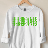 Hurricanes Casino DTF Print