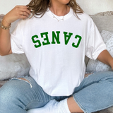 Canes Upside Down Arch Varsity Team DTF Print