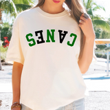 Canes Upside Down Arch Varsity Team DTF Print