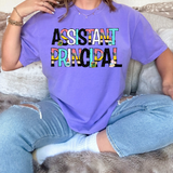 Assistant Principal School Days DTF Print