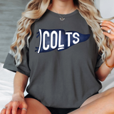 Colts Watercolor Pennant DTF Print