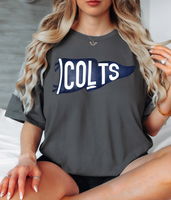 Colts Watercolor Pennant DTF Print