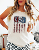 Distressed USA Flag DTF Print