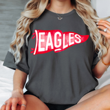 Eagles Watercolor Pennant DTF Print