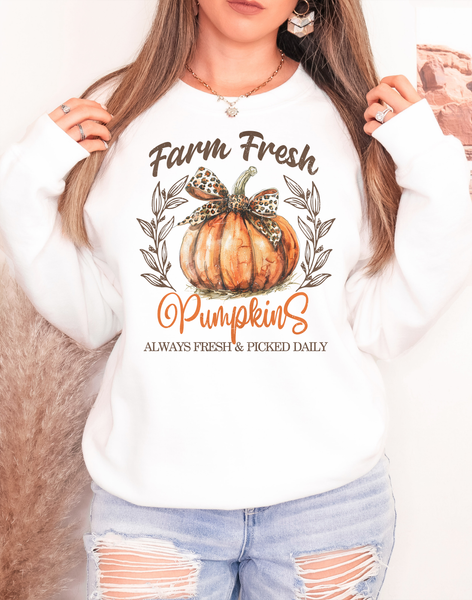 Farm Fresh Pumpkins DTF Print